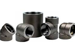 Carbon Steel A105 Forged Threaded Fittings