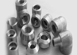 Duplex Steel S31803/S32205 Forged Threaded Fittings