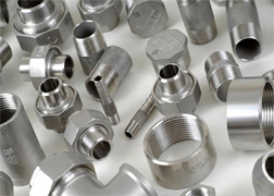 Stainless Steel 304L Forged Threaded Fittings