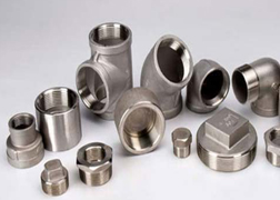 Stainless Steel 446 Forged Threaded Fittings